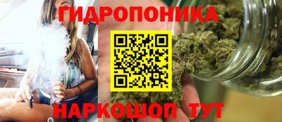 стафф Краснокаменск