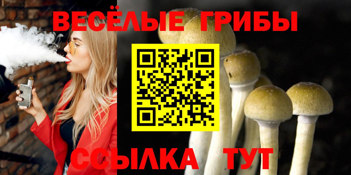 Качканар  Галлюциногенные грибы Cubensis  Галлюциногенные грибы Psilocybe  Вход с VPN 