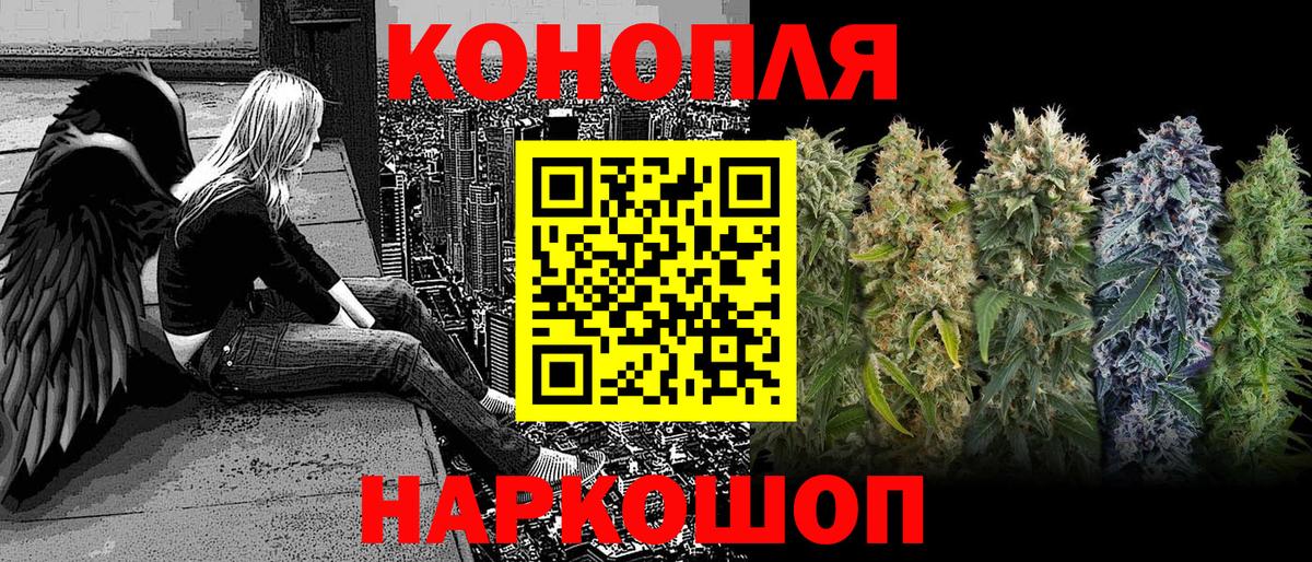 Канабис сатива  Марихуана OG Kush  Вход с VPN  МАРИХУАНА тримм  Марихуана сатива  Качканар 